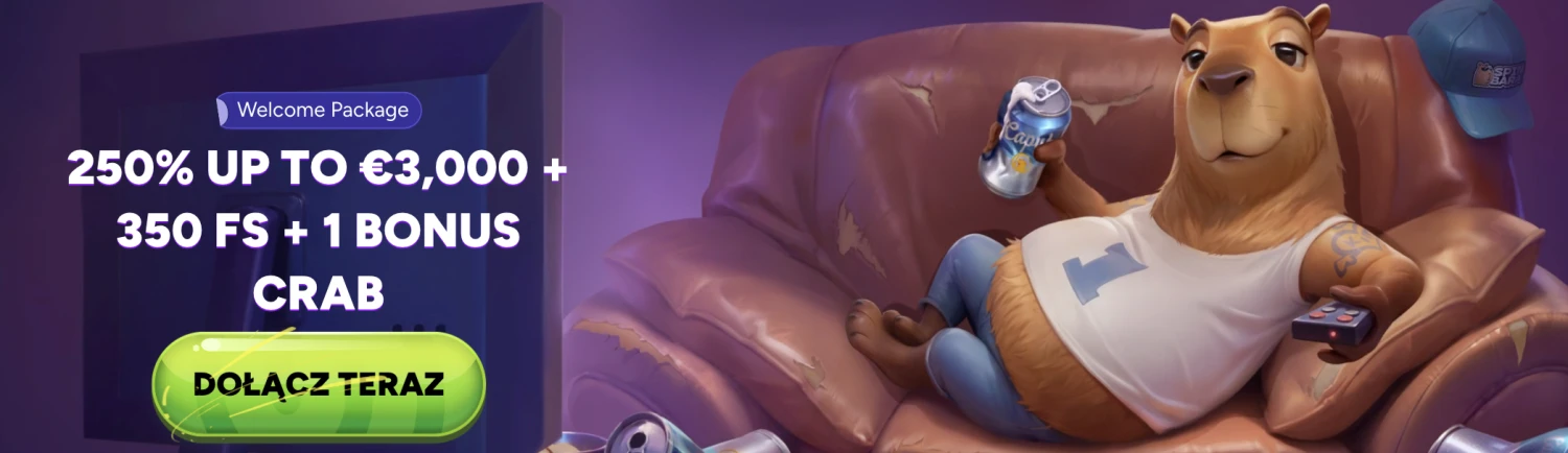 Promotional Banner